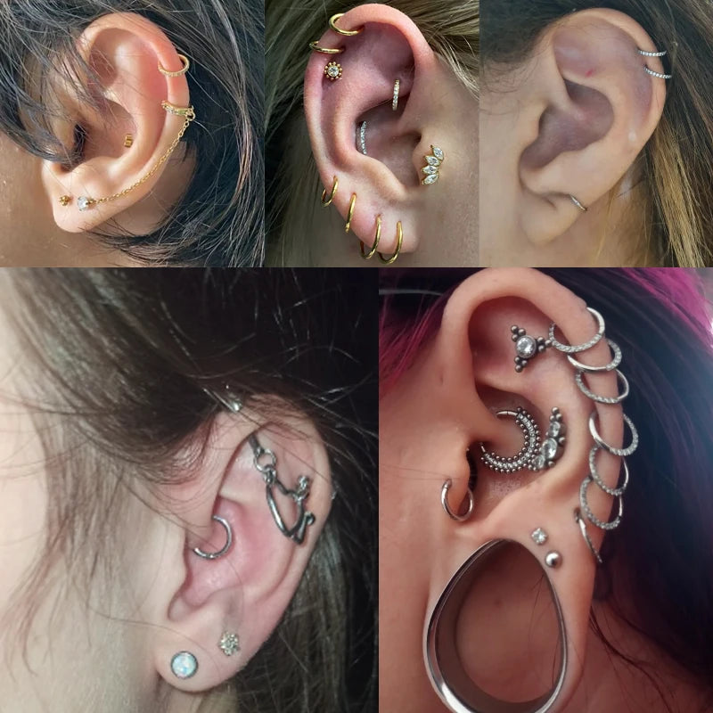 1/10Pcs G23 Titanium 14G/16G/18G Nose Rings Hinged Segment Ear Cartilage Tragus Earring Hoops Septum Clicker Piercing  Jewelry