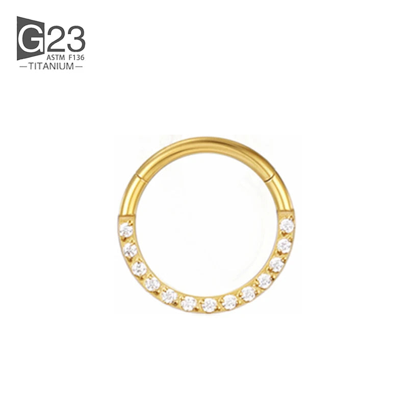 1/10Pcs G23 Titanium 14G/16G/18G Nose Rings Hinged Segment Ear Cartilage Tragus Earring Hoops Septum Clicker Piercing  Jewelry